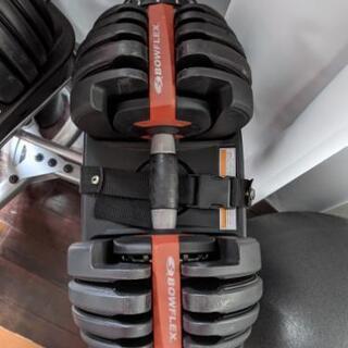 Bowflex ボウフレックス 片方24キロ ペア