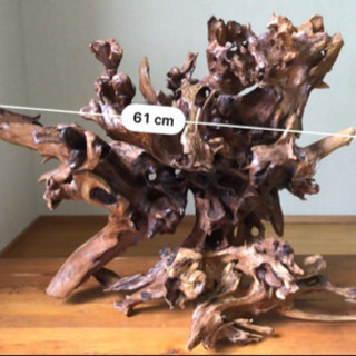 【流木】父が時間をかけて丁寧に磨いた流木です！ 流木】父が時間をかけて丁寧に磨いた流木です！