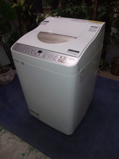 R1050) シャープ 洗濯機 ES-TX5B-N 2018年製! 5.5kg 店頭取引大歓迎♪