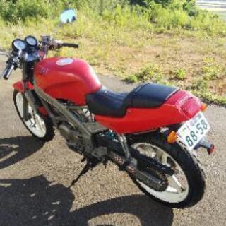 バイク　ホンダ VT250 スパーダ
