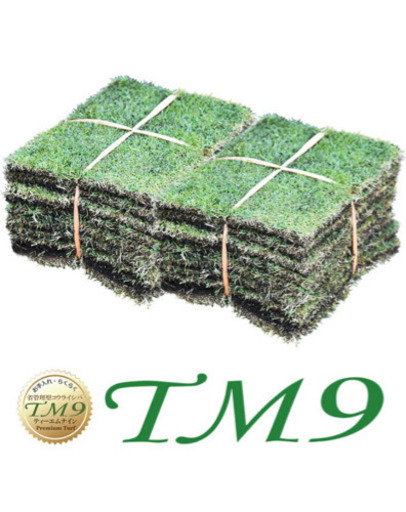 話題のお手入れがとっても楽な芝生 高品質TM9 約4坪分 施行費込