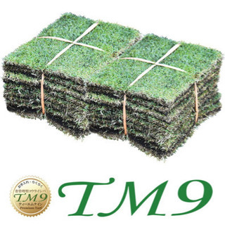 話題のお手入れがとっても楽な芝生 高品質TM9 約4坪分 施行費込