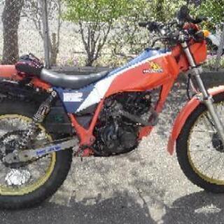HONDA TLR200 トライアルバイクの画像