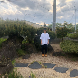 五葉松 松の木 庭 ガーデニング 石