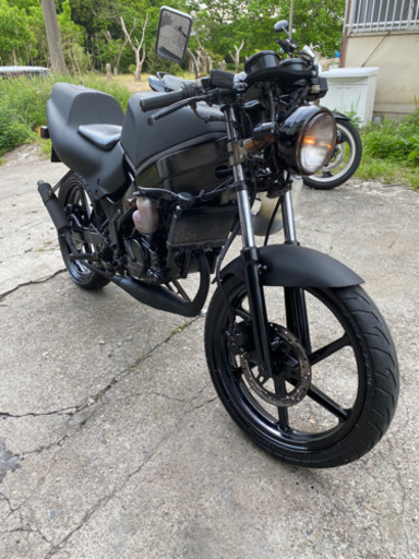 希少　NS1