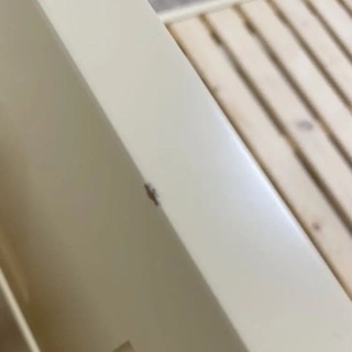 ローラアシュレイ  クリフトン ベッド シングル