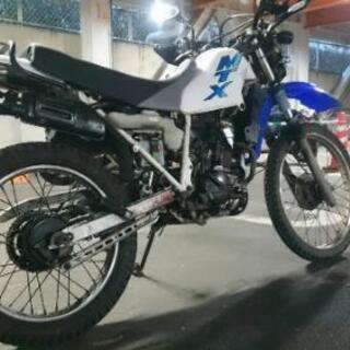 MTX50R AD06