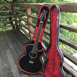 ジャパンビンテージ  86年 fender el rio アコースティックギター