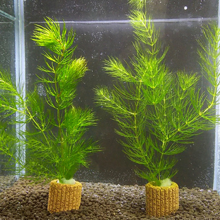 中古gdabが無料 格安で買える ジモティー