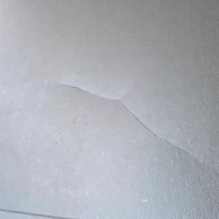 犬ゲージ大２つあります