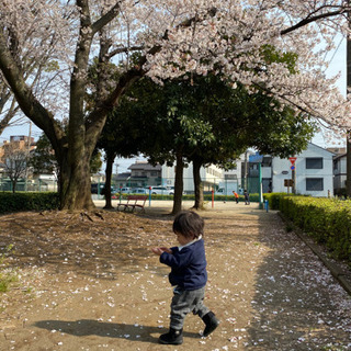 🐥1歳の男の子をもつシンママです🐥