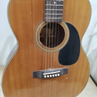 弦楽器、ギター F Hashimoto アコースティックギター F213