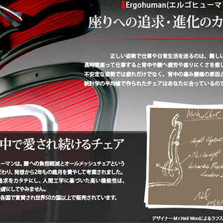 【特別価格】エルゴヒューマン ハイタイプ　 ハイバック