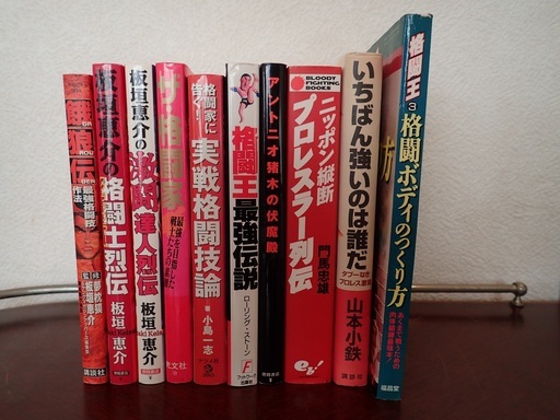 【激レア】総合格闘技　プロレス　骨法　纏めて２９冊
