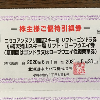 ニセコアンヌプリ国際スキー場リフトゴンドラ８時間券（小樽天狗山ス...