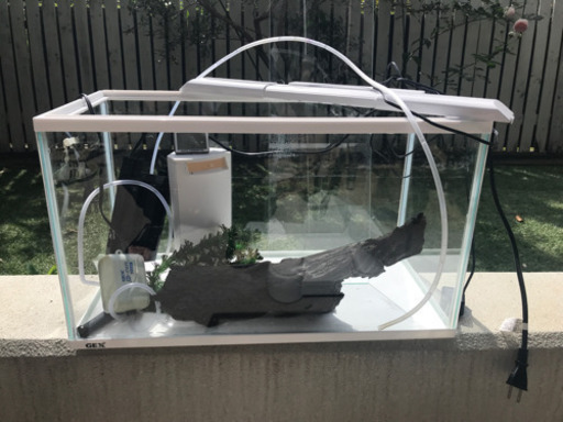 水槽セット