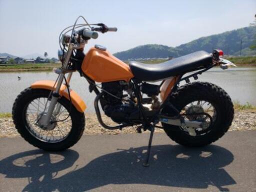 TW200 スカチューン仕様