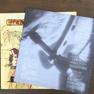 At the Gates - Terminal Spirit Disease LP レコード