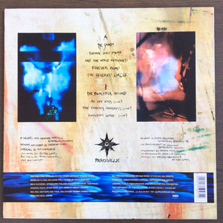 At the Gates - Terminal Spirit Disease LP レコード