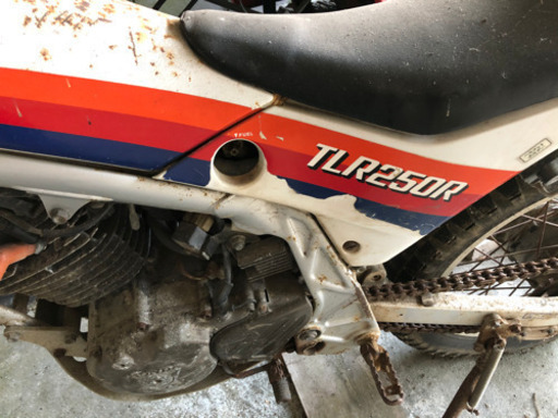 部品取り。ホンダTLR250ジャンク 部品取り。ホンダTLR250ジャンク 【公式通販】