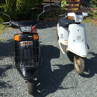 ヤマハ チャンプ不動