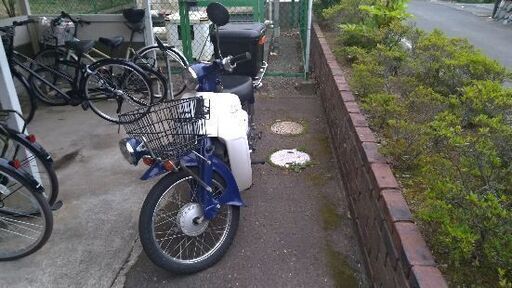 受け渡し者決定 ホンダ プレスカブ50 実働車