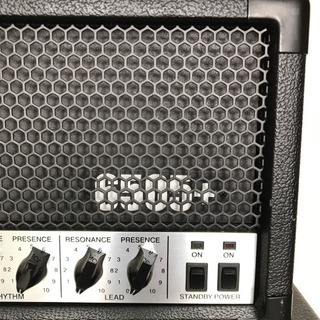 peavey6505キャビネットのみ