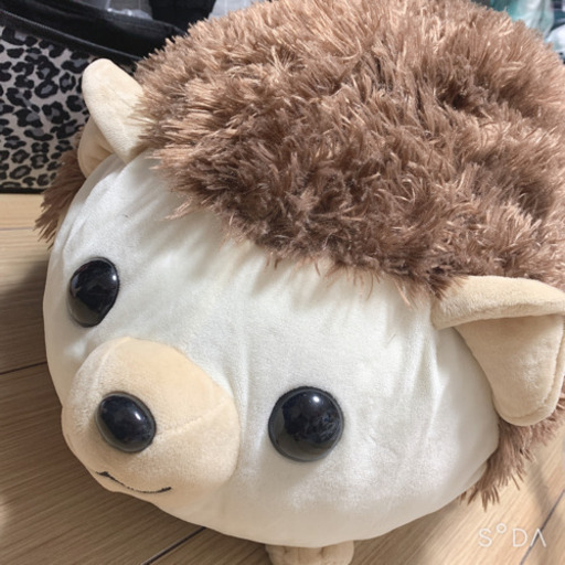 ハリネズミ ぬいぐるみ 黒猫 南橋本のおもちゃ ぬいぐるみ の中古あげます 譲ります ジモティーで不用品の処分