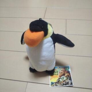 シャクレルプラネットのペンギン