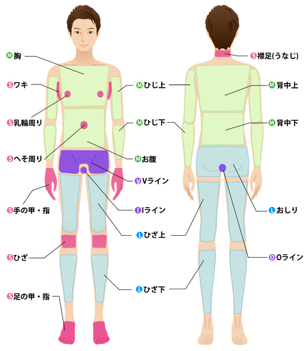 男性限定 夏前のボディケア メンズハイスピード全身脱毛 Vio ひげok 15 500 Izumi T 御器所のその他の無料広告 無料掲載の掲示板 ジモティー