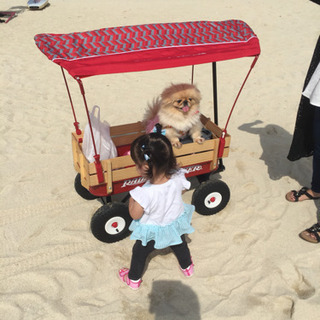 ラジオフライヤーお取引中