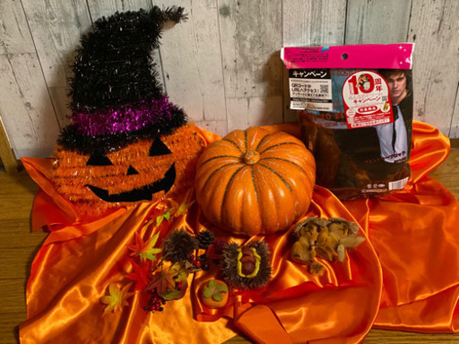 秋セット⭐︎ハロウィン　リス　紅葉等(撮影用、ショップテナントなどに)