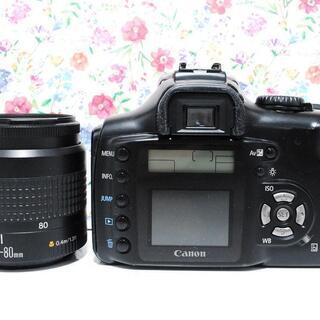 ☆全国発送対応☆交渉可スマホ転送OK☆初心者お勧め！