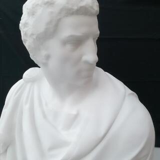 決定済 石膏像 ブルータス 胸像 デッサン