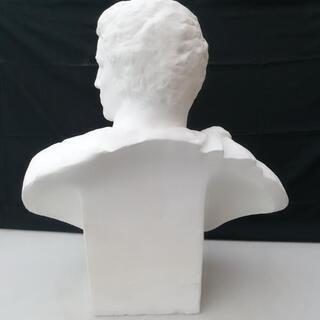 決定済 石膏像 ブルータス 胸像 デッサン