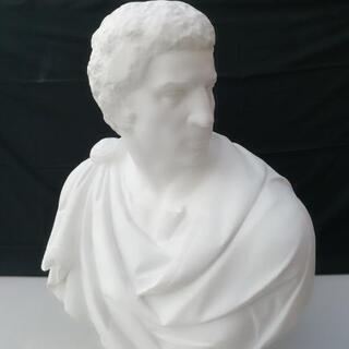 決定済 石膏像 ブルータス 胸像 デッサン