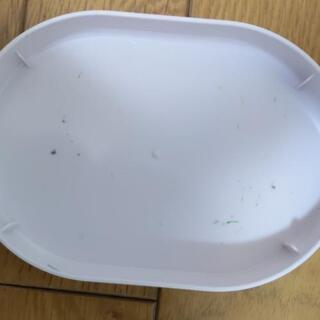 ぽぽちゃん お家 お弁当 おしゃべり歯みがき おしゃべりはさみ