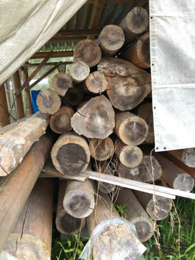 再々値下げ】ログハウス用丸太