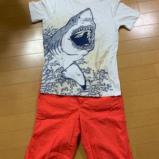 Gap 150 サメのTシャツ＆ハーフパンツセット