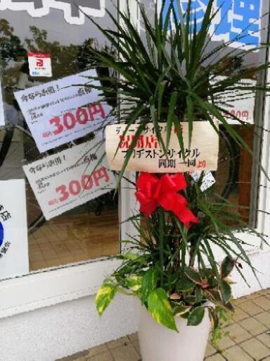 自転車 初回点検 料金 ネット 藤沢