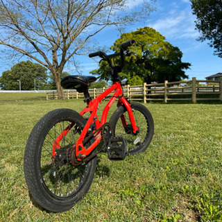 BMX アーレスバイク 16インチ ペグあります