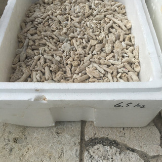 値下げ　→ サンゴ砂　 粗目　6kg