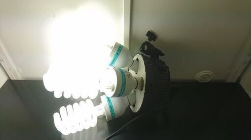 値下げ交渉可能】業務用照明 ダウンライト(LED)の交換方法と費用相場！自分