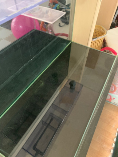 クライマックスセール再値下げ 90cm ロータイプ 水槽台 沖縄発送ng 受賞店舗 クライマックスセール再値下げ 90cm ロータイプ 水槽台 沖縄発送ng 受賞店舗