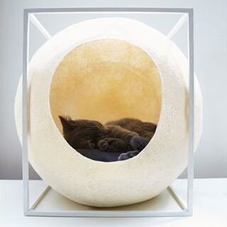 meyou キャットハウス