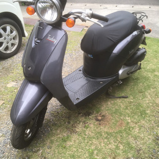 真作」命の輝きを描く 磯部則夫 「生命と土の香り 五個の玉ねぎ」限定