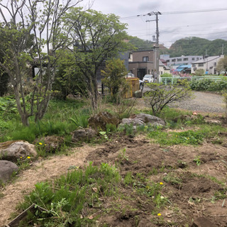 庭、解体予定、庭石、木、土、札幌軟石