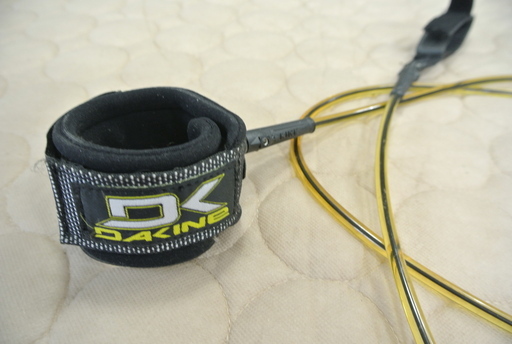 未開封品 青島千穂 骸骨の泉 2008 サイン入り 300枚限定