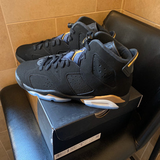 NIKE AIR JORDAN6 RETRO DMP(GS) 24センチ