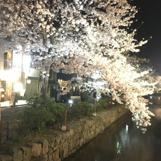 公園などでサッカーボールを蹴るメンバー募集^ ^